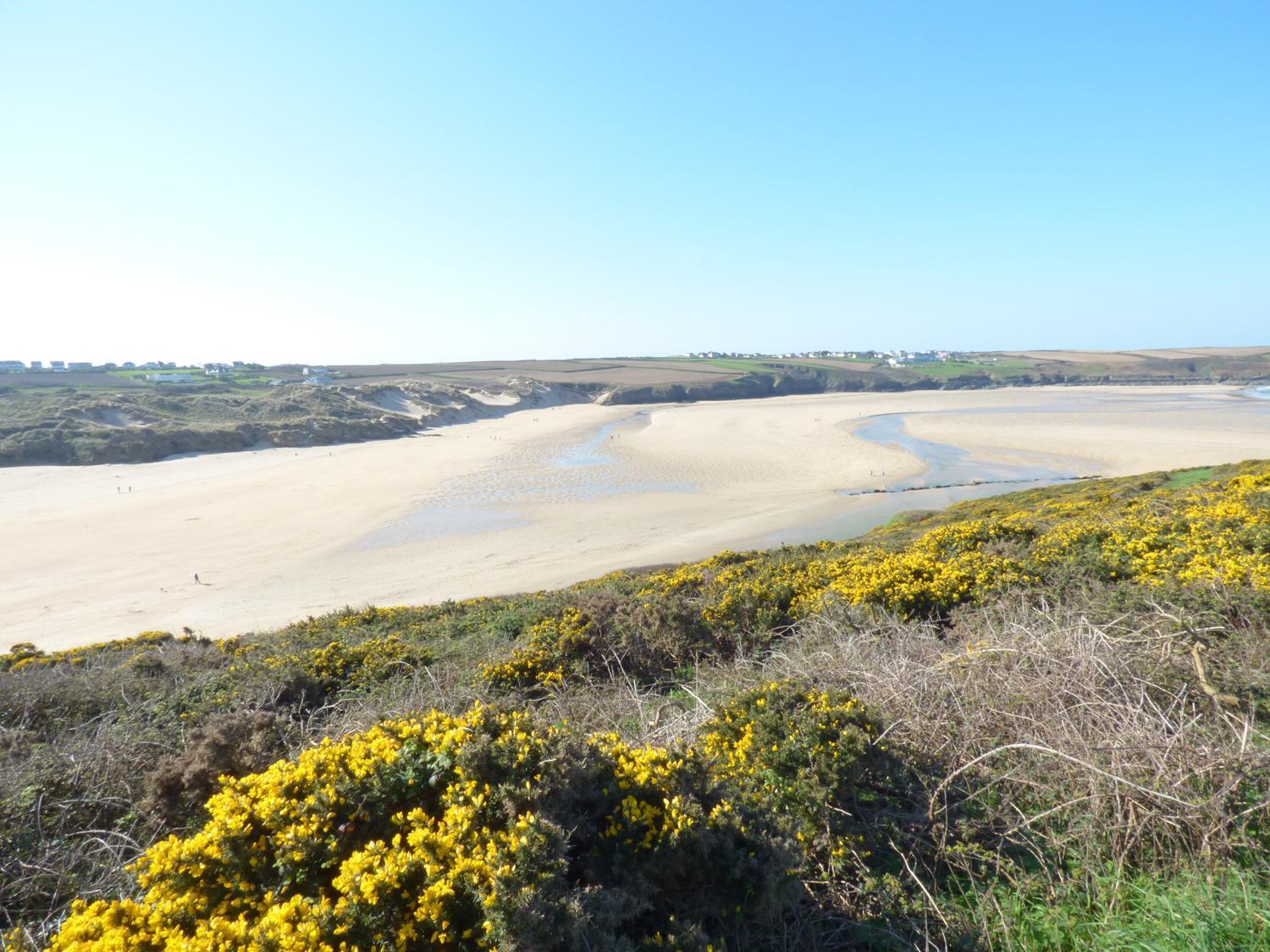 Fistral Breeze Villa New Quay Eksteriør bilde
